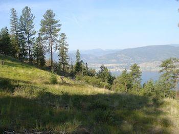 Apartamento Crooked Tree Bed & Breakfast Guest Suites