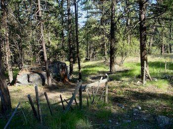 Apartamento Crooked Tree Bed & Breakfast Guest Suites *
