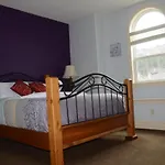 The Vacation House
