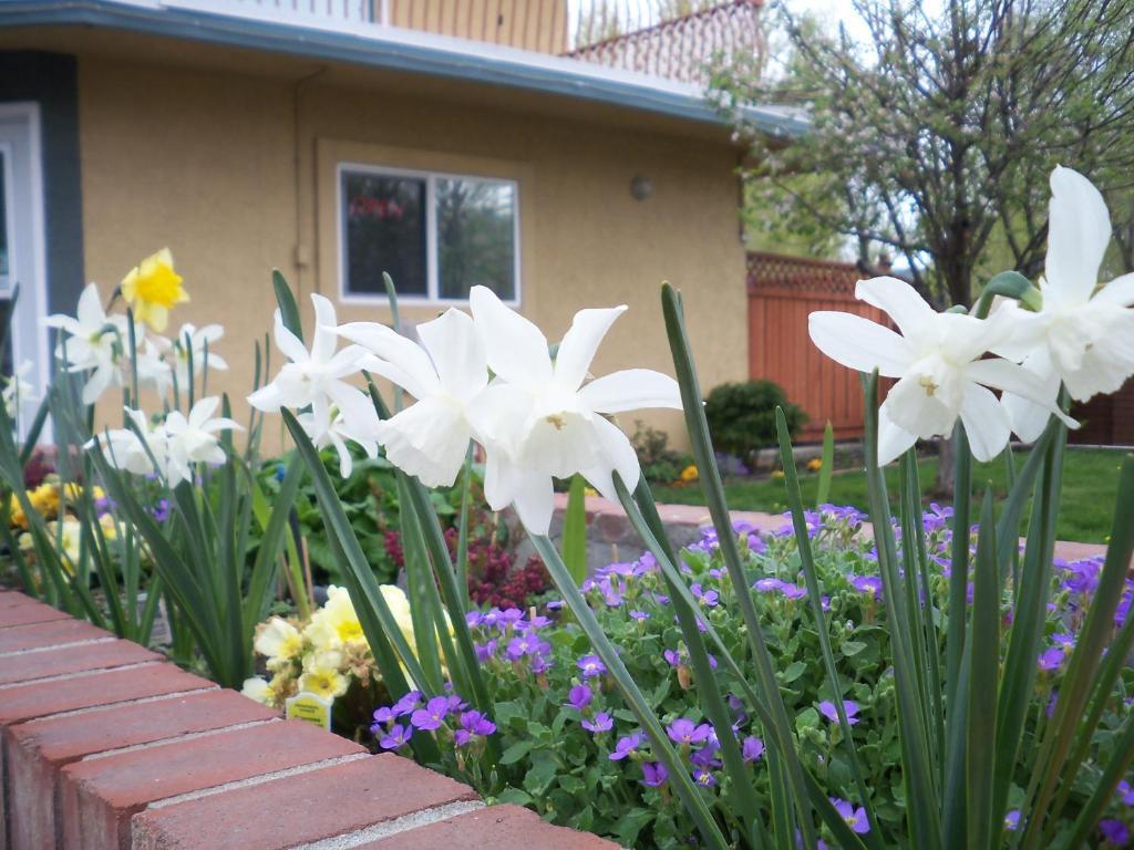 Motel Lakeside & Nordic Penticton